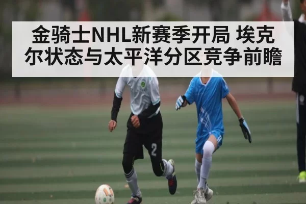 金骑士NHL新赛季开局 埃克尔状态与太平洋分区竞争前瞻